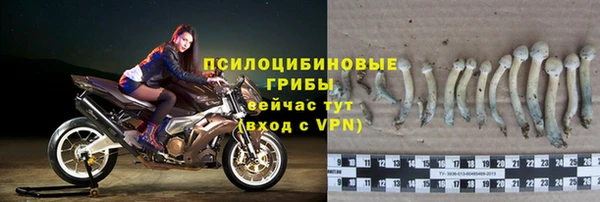 apvp Верхний Тагил