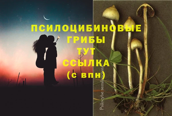 бутират Верея